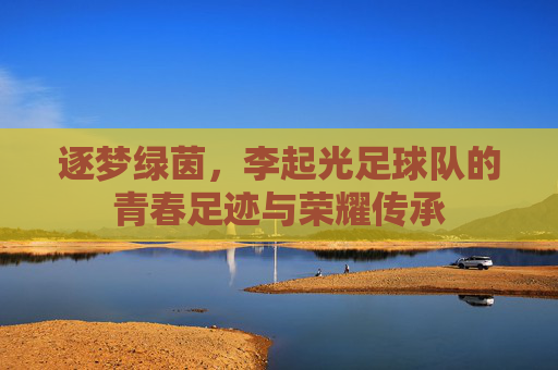 逐梦绿茵，李起光足球队的青春足迹与荣耀传承
