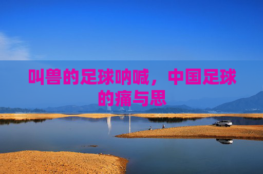 叫兽的足球呐喊，中国足球的痛与思