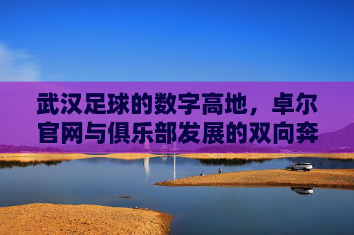 武汉足球的数字高地,卓尔官网与俱乐部发展的双向奔赴,武汉足球的数字高地,卓尔官网与俱乐部发展的双向奔赴
