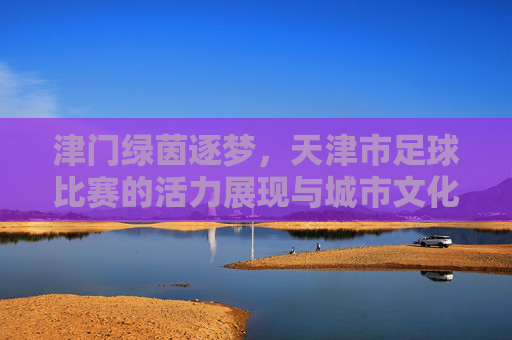 津门绿茵逐梦，天津市足球比赛的活力展现与城市文化传承