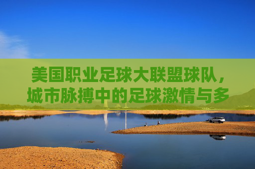 美国职业足球大联盟球队，城市脉搏中的足球激情与多元文化交融，美国职业足球大联盟，城市脉搏中的足球激情与多元文化交融
