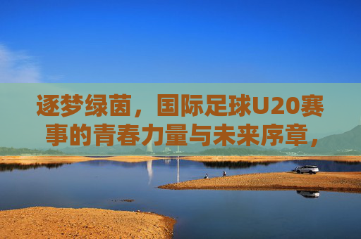 逐梦绿茵，国际足球U20赛事的青春力量与未来序章，逐梦绿茵，国际足球U20赛事的青春力量与未来序章