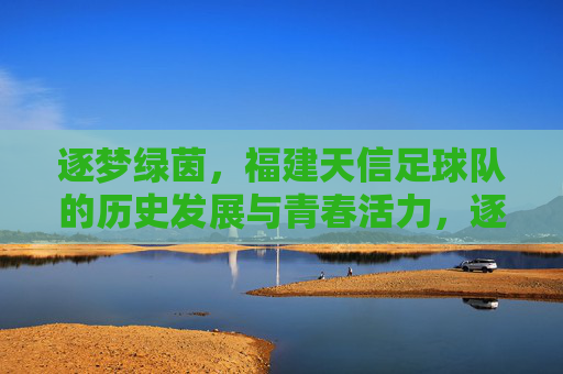 逐梦绿茵，福建天信足球队的历史发展与青春活力，逐梦绿茵，福建天信足球队的历史发展与青春活力