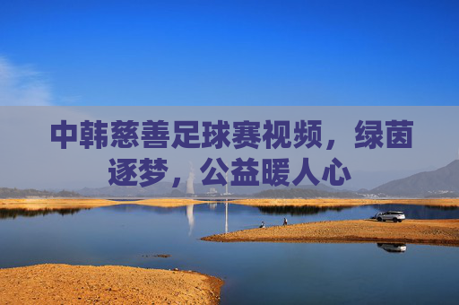 中韩慈善足球赛视频，绿茵逐梦，公益暖人心