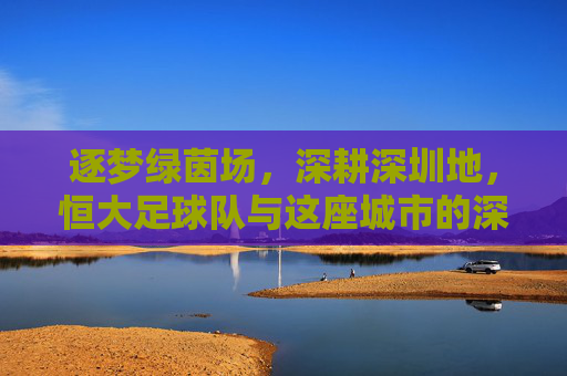 逐梦绿茵场,深耕深圳地,恒大足球队与这座城市的深度绑定