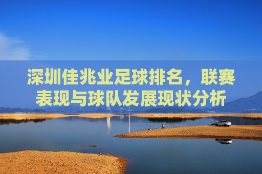 深圳佳兆业足球排名,联赛表现与球队发展现状分析