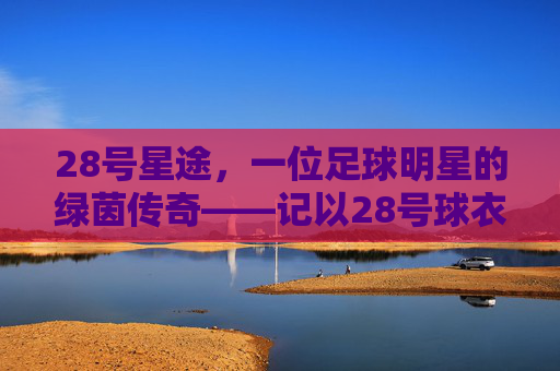 28号星途，一位足球明星的绿茵传奇——记以28号球衣驰骋的足球天才，28号星途，记以28号球衣驰骋的足球天才的绿茵传奇