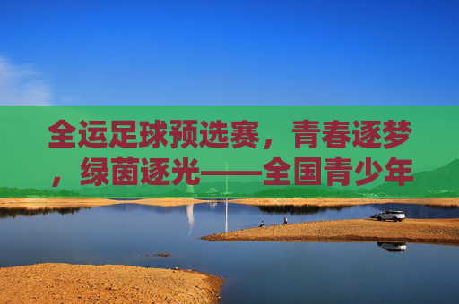 全运足球预选赛,青春逐梦,绿茵逐光——全国青少年足球精英的竞技舞台与成长印记