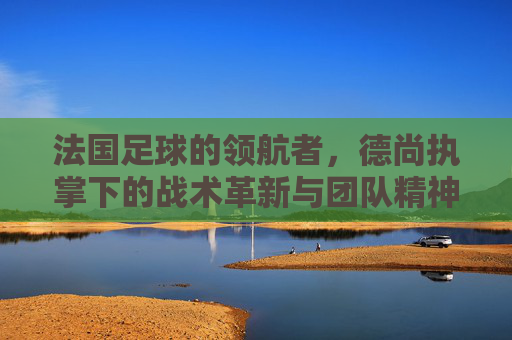 法国足球的领航者，德尚执掌下的战术革新与团队精神重塑——法国足球队教练的执教艺术