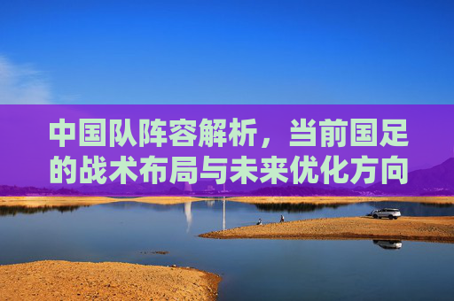 中国队阵容解析，当前国足的战术布局与未来优化方向