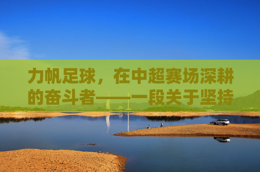 力帆足球,在中超赛场深耕的奋斗者——一段关于坚持与求索的足球记忆