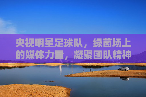 央视明星足球队,绿茵场上的媒体力量,凝聚团队精神与社会正能量