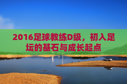 2016足球教练D级,初入足坛的基石与成长起点
