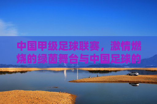中国甲级足球联赛,激情燃烧的绿茵舞台与中国足球的转型之路,中国甲级足球联赛,激情燃烧的绿茵舞台与中国足球的转型之路