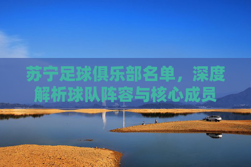 苏宁足球俱乐部名单,深度解析球队阵容与核心成员