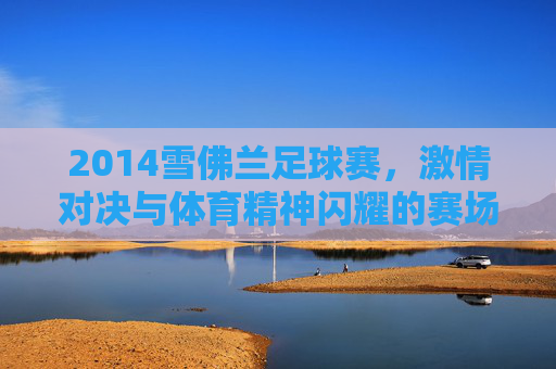 2014雪佛兰足球赛，激情对决与体育精神闪耀的赛场记忆
