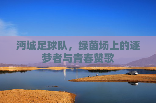 沔城足球队,绿茵场上的逐梦者与青春赞歌