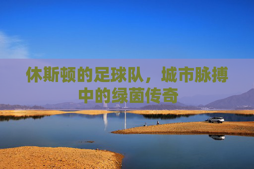 休斯顿的足球队，城市脉搏中的绿茵传奇