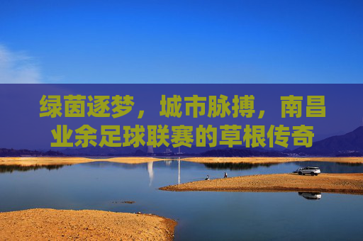 绿茵逐梦,城市脉搏,南昌业余足球联赛的草根传奇