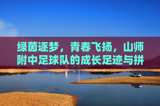 绿茵逐梦，青春飞扬，山师附中足球队的成长足迹与拼搏精神