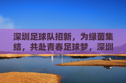 深圳足球队招新,为绿茵集结,共赴青春足球梦,深圳足球队招新,为绿茵集结,共赴青春足球梦