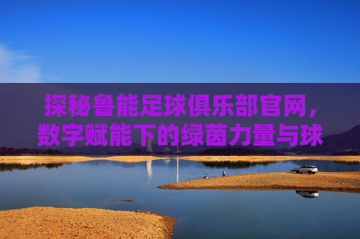 探秘鲁能足球俱乐部官网，数字赋能下的绿茵力量与球迷连接
