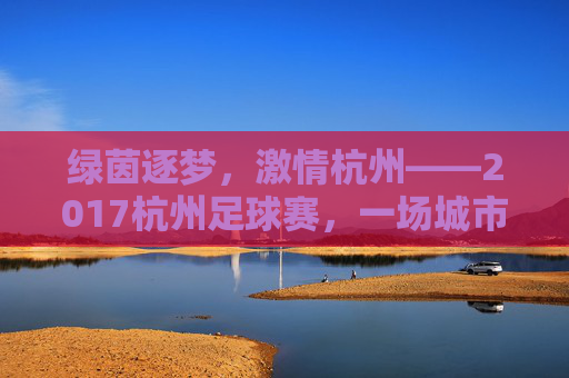 绿茵逐梦,激情杭州——2017杭州足球赛,一场城市与足球的激情对话