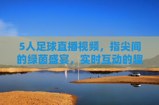 5人足球直播视频，指尖间的绿茵盛宴，实时互动的趣味狂欢