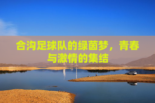 合沟足球队的绿茵梦，青春与激情的集结