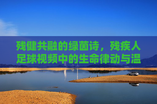 残健共融的绿茵诗，残疾人足球视频中的生命律动与温暖传递，残健共融的绿茵诗，残疾人足球视频中的生命律动与温暖传递