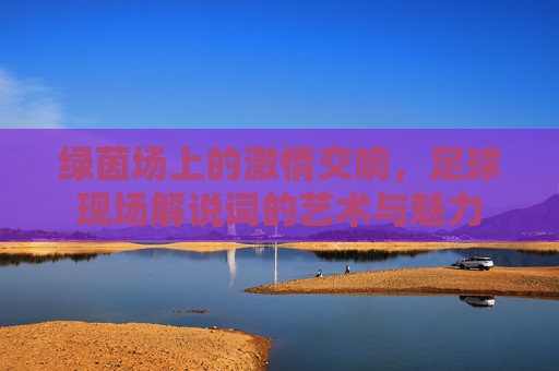 绿茵场上的激情交响，足球现场解说词的艺术与魅力