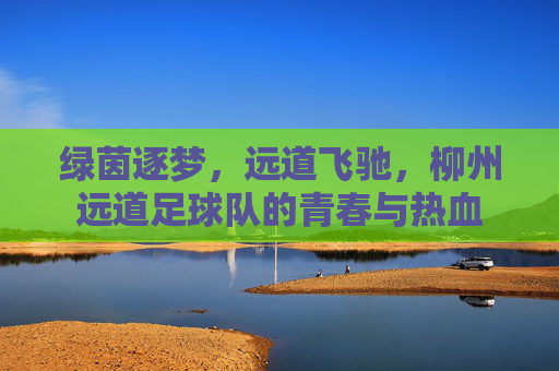 绿茵逐梦，远道飞驰，柳州远道足球队的青春与热血