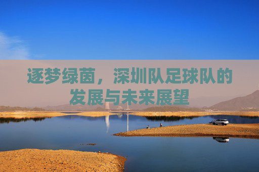 逐梦绿茵,深圳队足球队的发展与未来展望