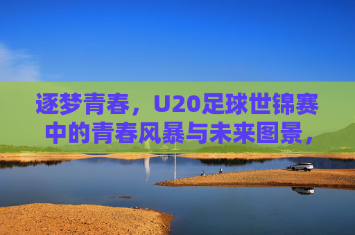 逐梦青春，U20足球世锦赛中的青春风暴与未来图景，逐梦青春，U20足球世锦赛中的青春风暴与未来图景