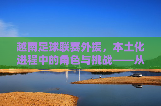 越南足球联赛外援，本土化进程中的角色与挑战——从引援到融合的演变，越南足球联赛外援本土化进程中的角色与挑战，从引援到融合的演变