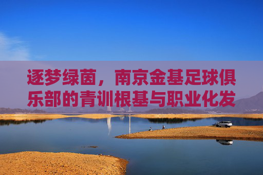 逐梦绿茵,南京金基足球俱乐部的青训根基与职业化发展之路,逐梦绿茵,南京金基足球俱乐部的青训根基与职业化发展之路
