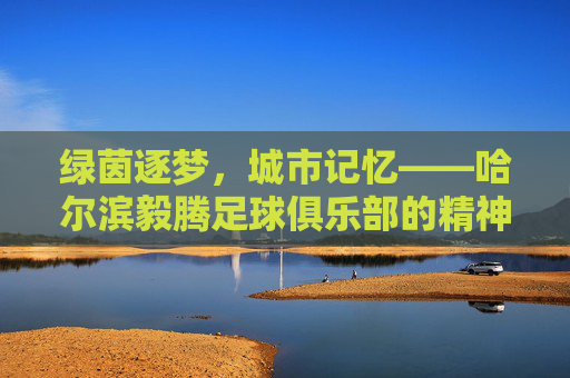 绿茵逐梦，城市记忆——哈尔滨毅腾足球俱乐部的精神图鉴，绿茵逐梦，城市记忆——哈尔滨毅腾足球俱乐部的精神图鉴