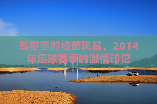 鸟巢里的绿茵风暴,2014年足球赛事的激情印记