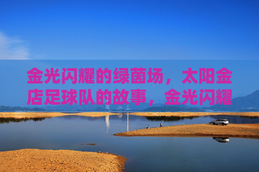 金光闪耀的绿茵场，太阳金店足球队的故事，金光闪耀的绿茵场，太阳金店足球队的故事