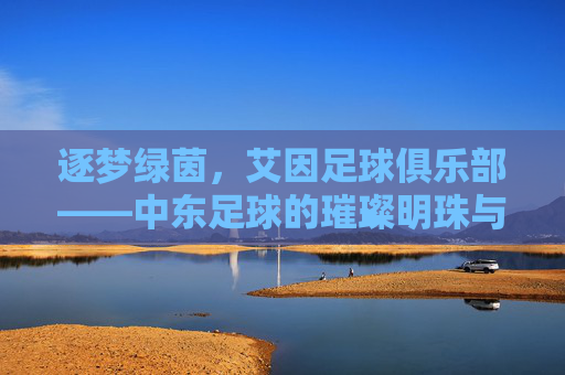 逐梦绿茵，艾因足球俱乐部——中东足球的璀璨明珠与传承故事