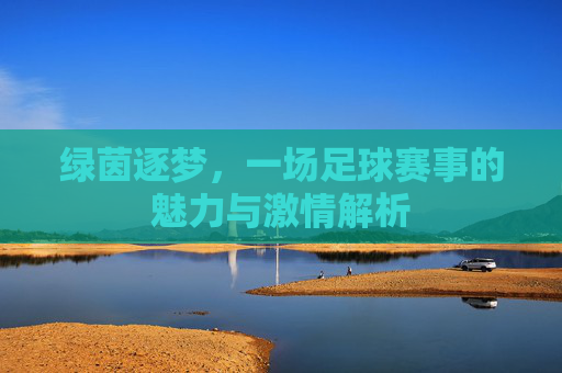 绿茵逐梦，一场足球赛事的魅力与激情解析
