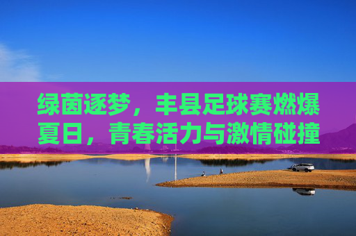 绿茵逐梦,丰县足球赛燃爆夏日,青春活力与激情碰撞