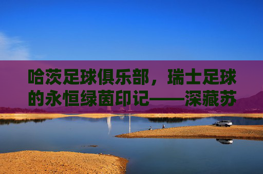 哈茨足球俱乐部，瑞士足球的永恒绿茵印记——深藏苏黎世湖畔的防守反击传奇