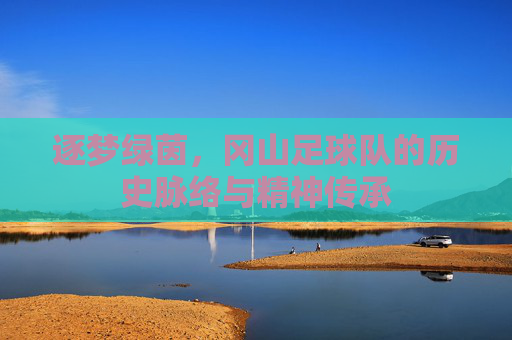 逐梦绿茵,冈山足球队的历史脉络与精神传承