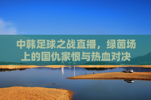 中韩足球之战直播，绿茵场上的国仇家恨与热血对决