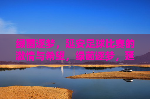 绿茵逐梦,延安足球比赛的激情与希望,绿茵逐梦,延安足球比赛的激情与希望