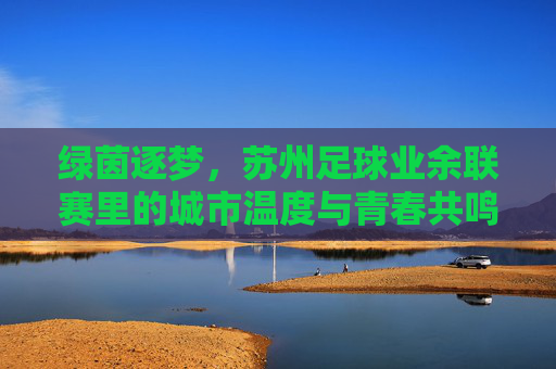 绿茵逐梦，苏州足球业余联赛里的城市温度与青春共鸣，绿茵逐梦，苏州足球业余联赛里的城市温度与青春共鸣