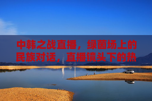中韩之战直播,绿茵场上的民族对话,直播镜头下的热血与荣耀