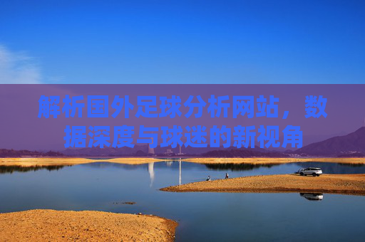 解析国外足球分析网站,数据深度与球迷的新视角