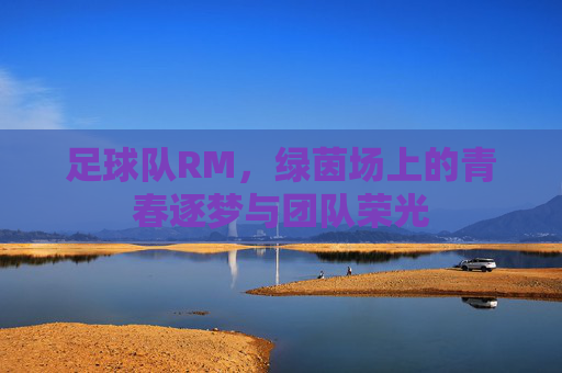 足球队RM,绿茵场上的青春逐梦与团队荣光
